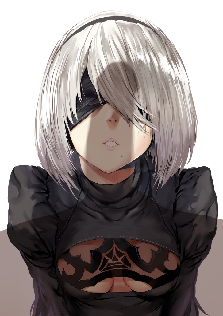 NieR Hentai 15 NieR Hentai 477